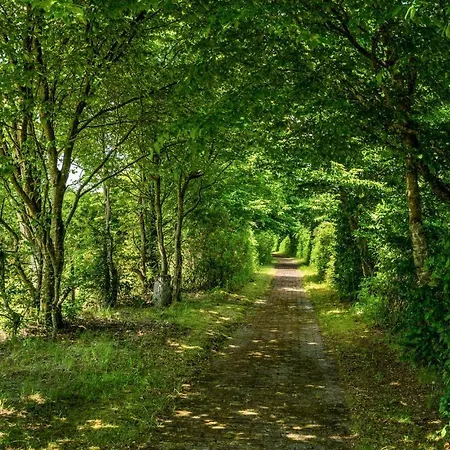 Stunning In With Wifi * Hampen