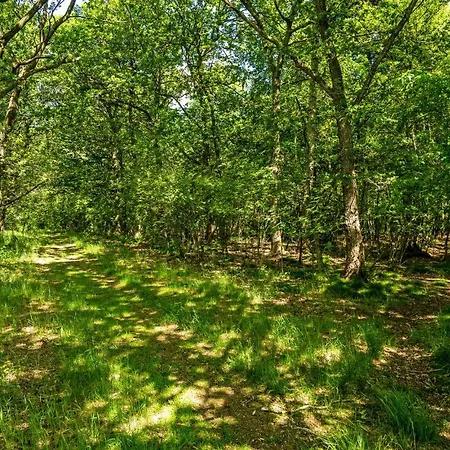 Stunning In With Wifi בית נופש